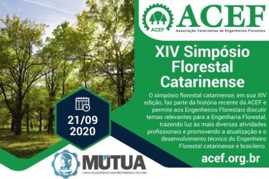 Foto — Associação Catarinense de Empresas Florestais (ACR)