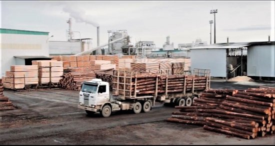Foto — Associação Catarinense de Empresas Florestais (ACR)