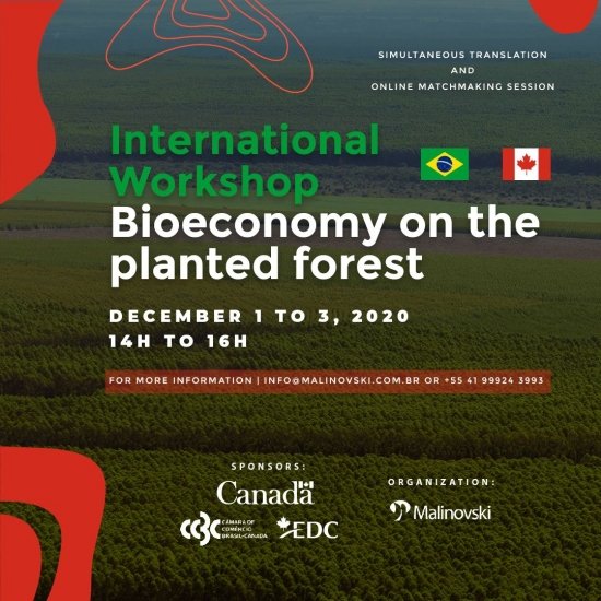 Foto — Associação Catarinense de Empresas Florestais (ACR)