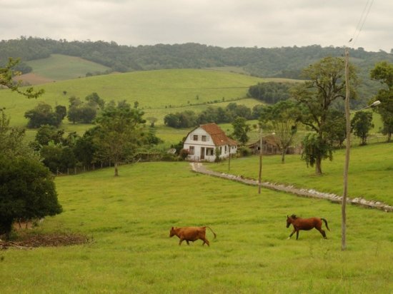 Foto — Associação Catarinense de Empresas Florestais (ACR)