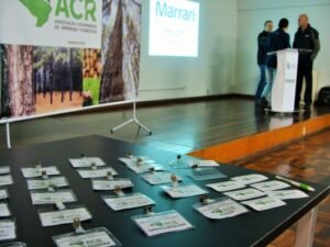 Foto — Associação Catarinense de Empresas Florestais (ACR)