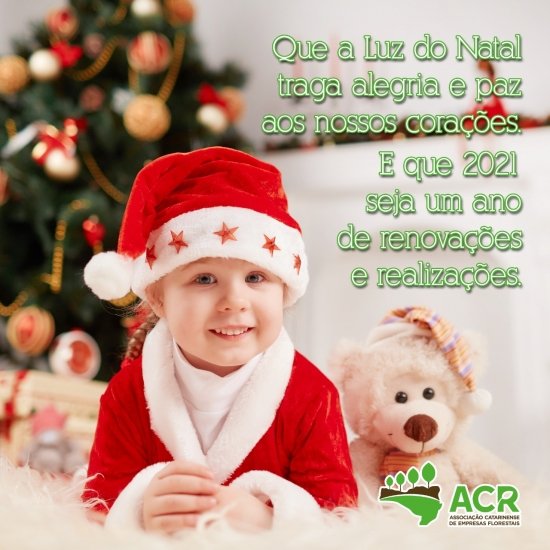 Foto — Associação Catarinense de Empresas Florestais (ACR)