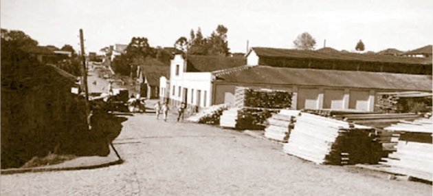 Foto — Associação Catarinense de Empresas Florestais (ACR)