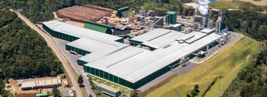 Foto — Associação Catarinense de Empresas Florestais (ACR)