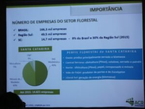 Foto — Associação Catarinense de Empresas Florestais (ACR)