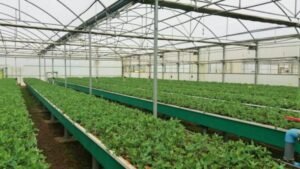 Foto — Associação Catarinense de Empresas Florestais (ACR)