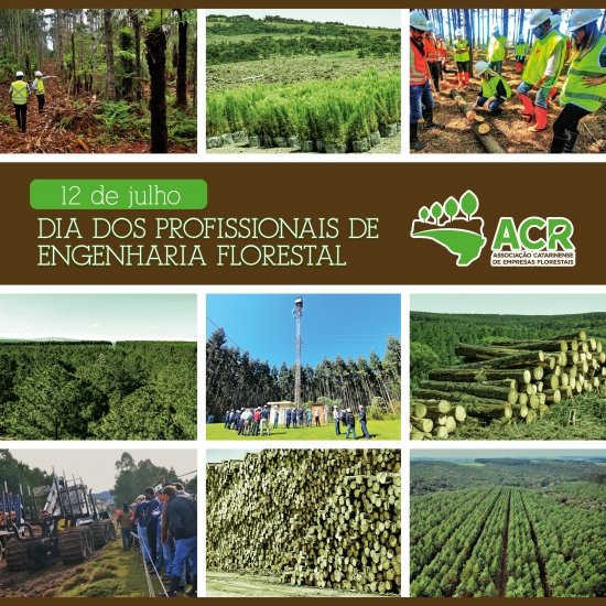 Foto — Associação Catarinense de Empresas Florestais (ACR)