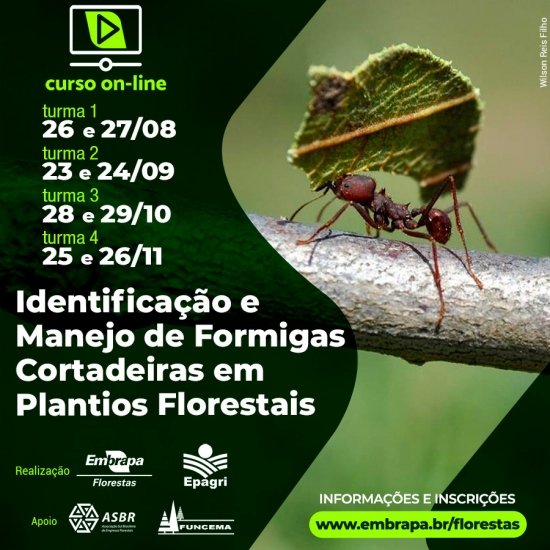 Foto — Associação Catarinense de Empresas Florestais (ACR)