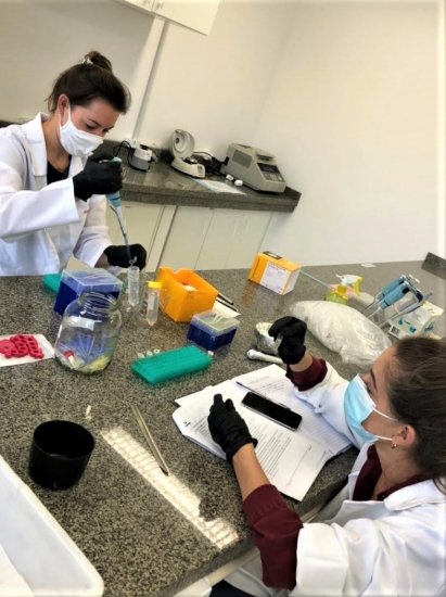 Foto — Associação Catarinense de Empresas Florestais (ACR)