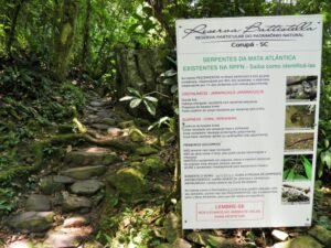 Foto — Associação Catarinense de Empresas Florestais (ACR)