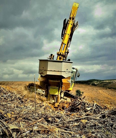 Foto — Associação Catarinense de Empresas Florestais (ACR)