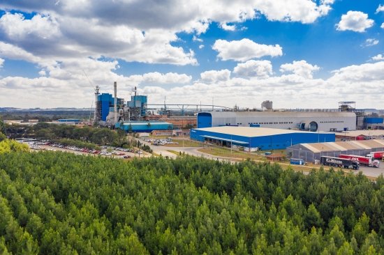 Foto — Associação Catarinense de Empresas Florestais (ACR)