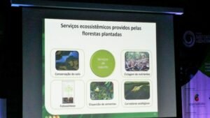 Foto — Associação Catarinense de Empresas Florestais (ACR)