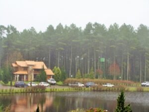 Foto — Associação Catarinense de Empresas Florestais (ACR)