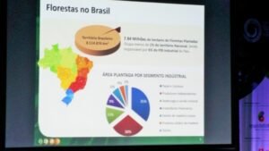 Foto — Associação Catarinense de Empresas Florestais (ACR)