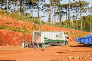 Foto — Associação Catarinense de Empresas Florestais (ACR)