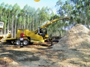 Foto — Associação Catarinense de Empresas Florestais (ACR)