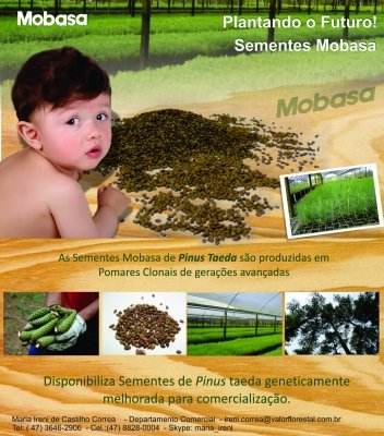 Foto — Associação Catarinense de Empresas Florestais (ACR)