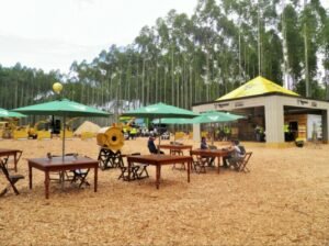 Foto — Associação Catarinense de Empresas Florestais (ACR)