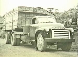 Foto — Associação Catarinense de Empresas Florestais (ACR)