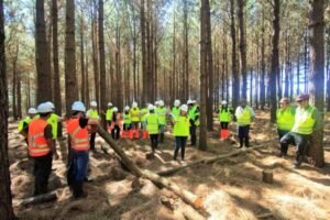 Foto — Associação Catarinense de Empresas Florestais (ACR)