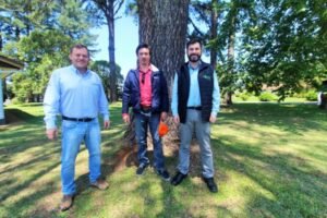 Foto — Associação Catarinense de Empresas Florestais (ACR)