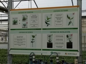 Foto — Associação Catarinense de Empresas Florestais (ACR)