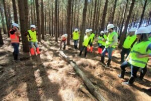 Foto — Associação Catarinense de Empresas Florestais (ACR)