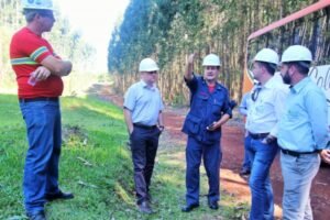 Foto — Associação Catarinense de Empresas Florestais (ACR)