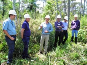 Foto — Associação Catarinense de Empresas Florestais (ACR)