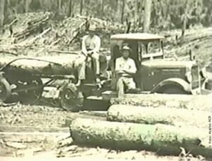 Foto — Associação Catarinense de Empresas Florestais (ACR)
