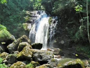 Foto — Associação Catarinense de Empresas Florestais (ACR)