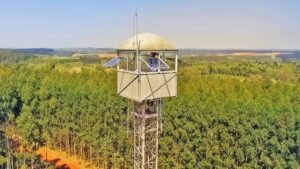 Foto — Associação Catarinense de Empresas Florestais (ACR)