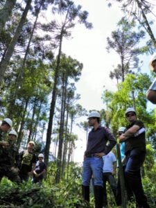 Foto — Associação Catarinense de Empresas Florestais (ACR)