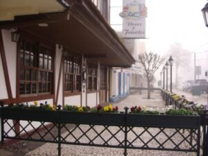 Foto — Associação Catarinense de Empresas Florestais (ACR)