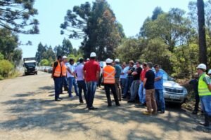 Foto — Associação Catarinense de Empresas Florestais (ACR)