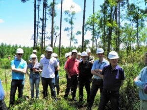 Foto — Associação Catarinense de Empresas Florestais (ACR)