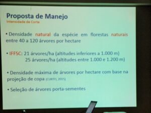 Foto — Associação Catarinense de Empresas Florestais (ACR)