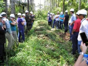 Foto — Associação Catarinense de Empresas Florestais (ACR)