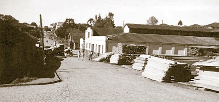 imagem antiga empresas florestais