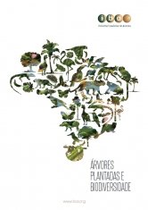 Foto — Associação Catarinense de Empresas Florestais (ACR)