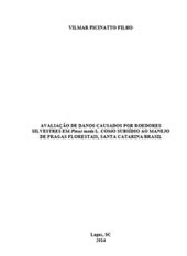 Foto — Associação Catarinense de Empresas Florestais (ACR)