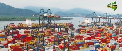 Foto — Associação Catarinense de Empresas Florestais (ACR)