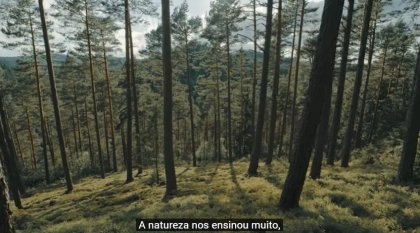 Foto — Associação Catarinense de Empresas Florestais (ACR)