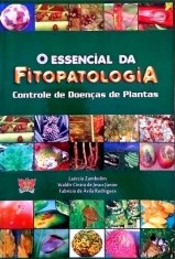 Foto — Associação Catarinense de Empresas Florestais (ACR)