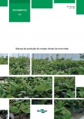 Foto — Associação Catarinense de Empresas Florestais (ACR)