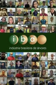 Foto — Associação Catarinense de Empresas Florestais (ACR)