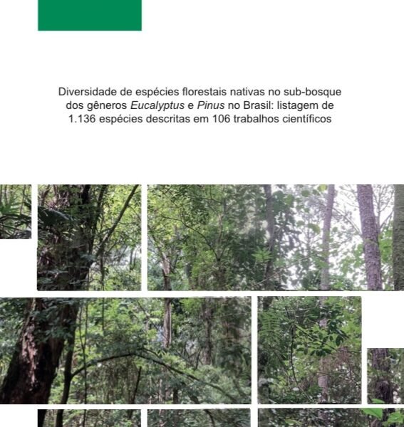 Foto — Associação Catarinense de Empresas Florestais (ACR)