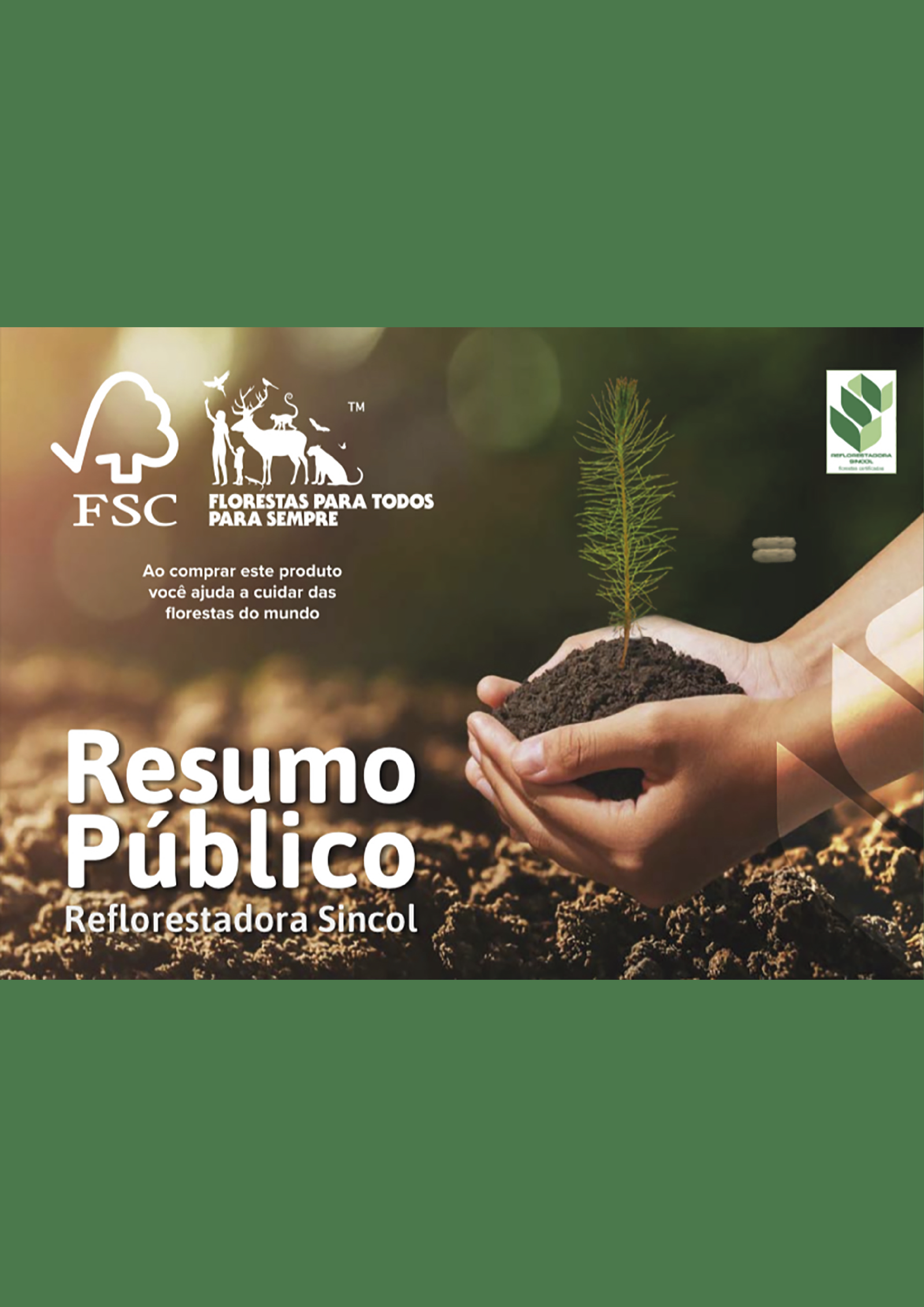 RESUMO PÚBLICO 2022