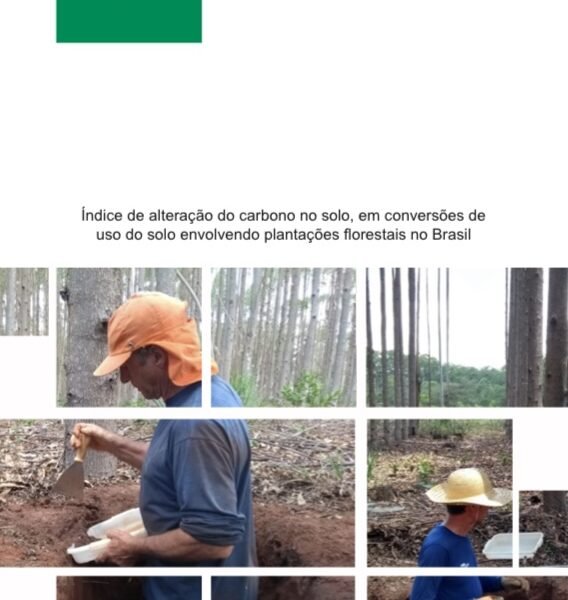 Foto — Associação Catarinense de Empresas Florestais (ACR)